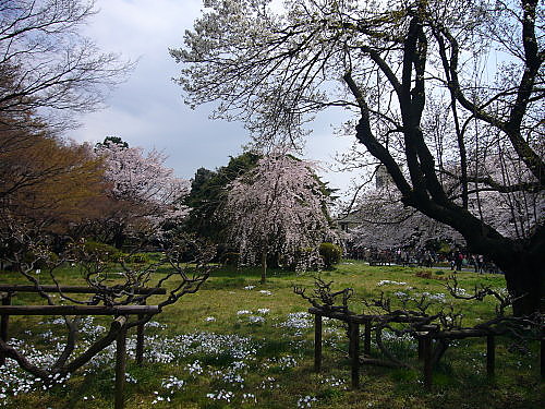 b0114403_8255071.jpg