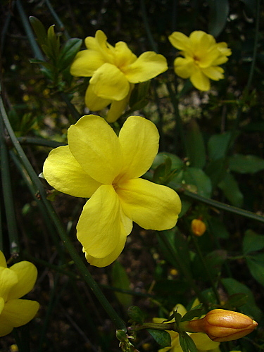 b0114403_8321753.jpg