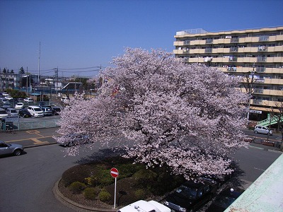 b0149303_22472723.jpg