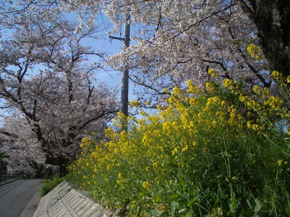 c0197004_19504156.jpg