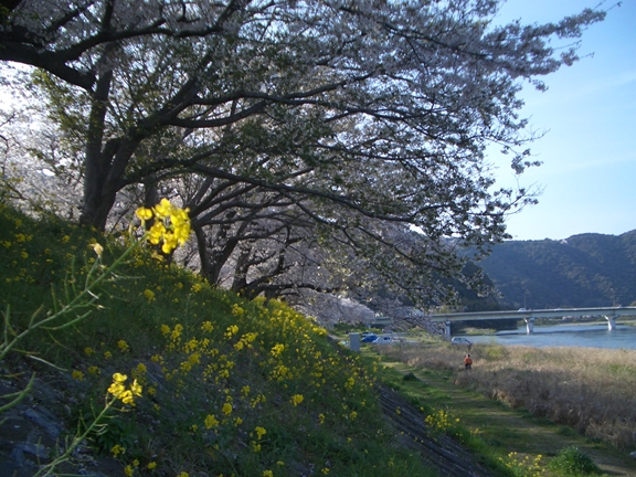 c0197004_19505322.jpg