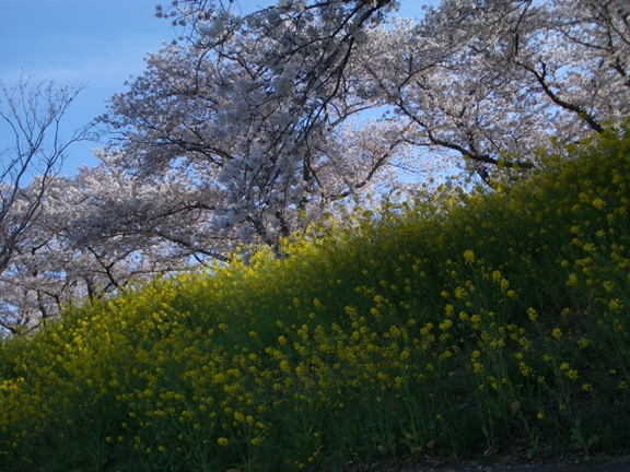 c0197004_1951277.jpg