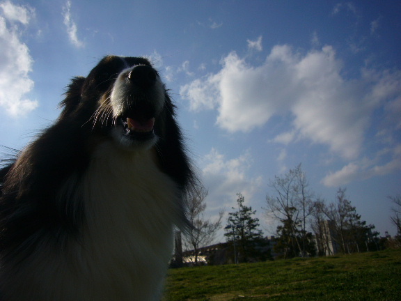 e0130008_1936827.jpg