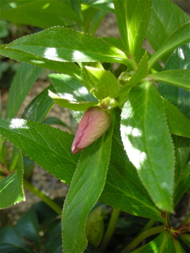 c0145209_1631219.jpg