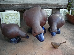 c0190010_2026327.jpg