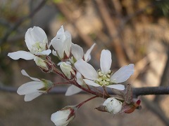 c0190010_20474881.jpg