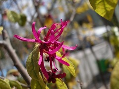 c0190010_20505134.jpg