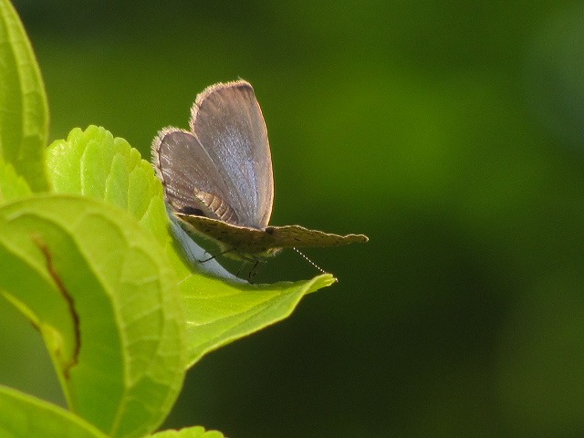 d0037110_2043442.jpg