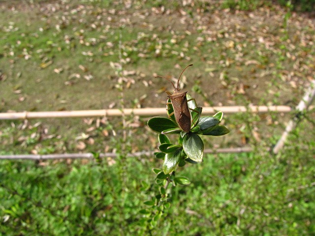 d0037110_20451489.jpg