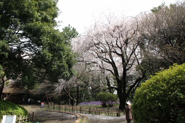 e0121110_22121069.jpg