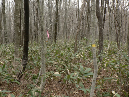 f0219710_10142150.jpg