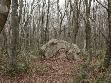 f0219710_101518100.jpg