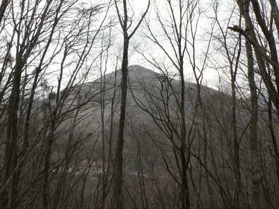 f0219710_1018741.jpg