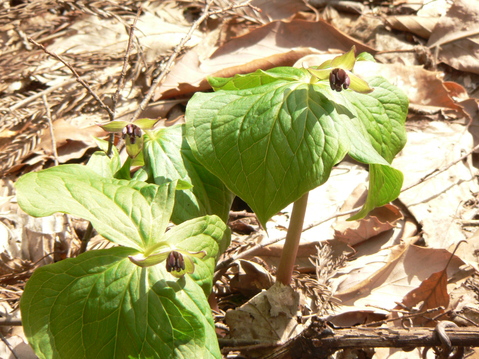f0219710_10215030.jpg