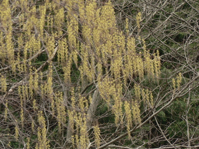 f0219710_10245289.jpg