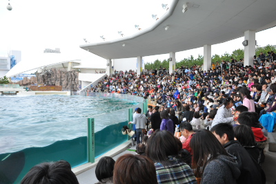 f0218012_2133553.jpg