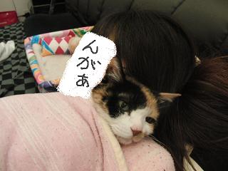 c0201113_20332186.jpg