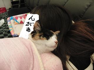 c0201113_203351.jpg