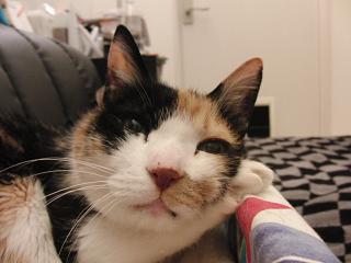 c0201113_2034115.jpg