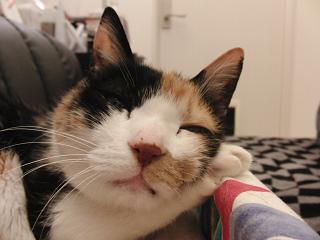c0201113_20345182.jpg