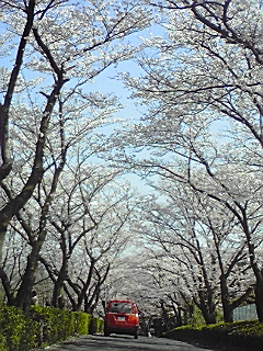 f0049813_22133650.jpg