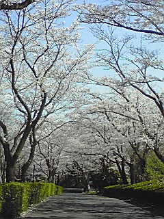 f0049813_22133678.jpg