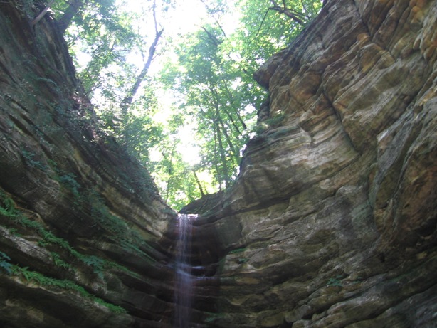 f0127915_1135822.jpg