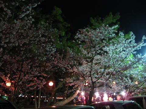 b0109220_2293077.jpg