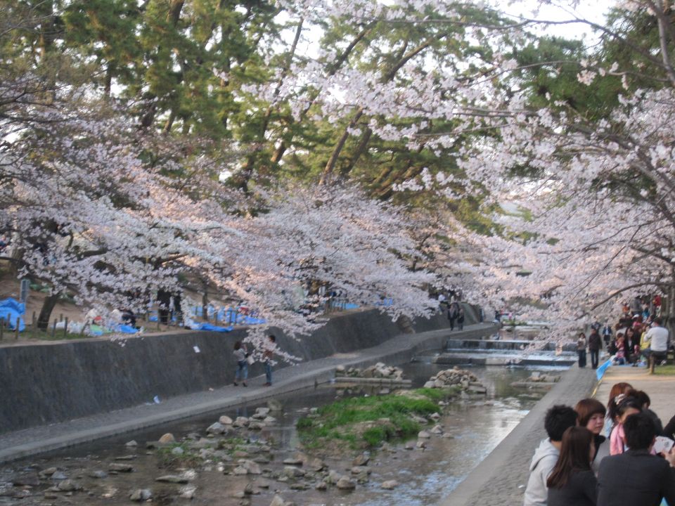 c0225420_21313394.jpg