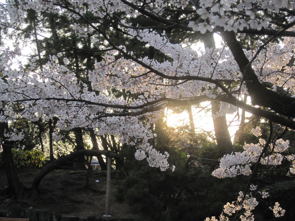 c0225420_21321680.jpg