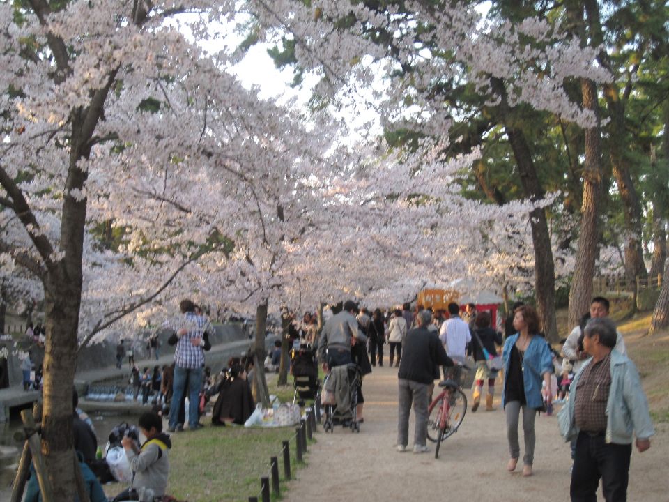 c0225420_2132235.jpg