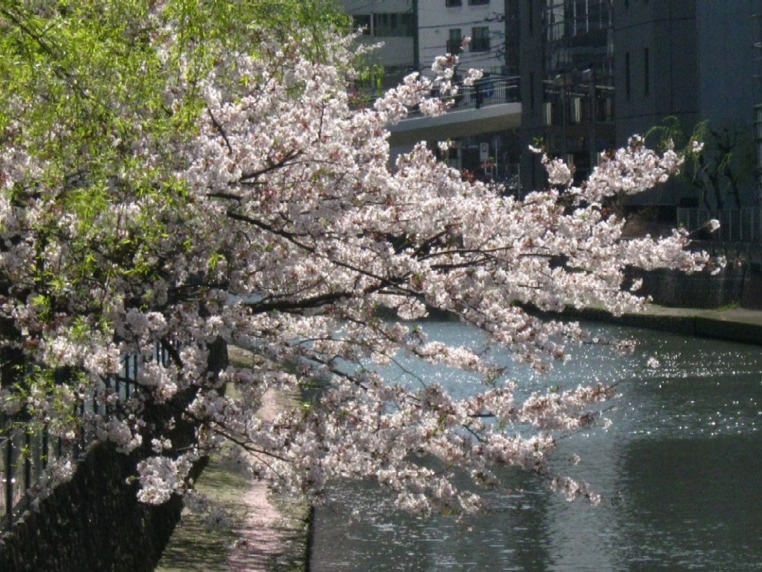 d0044222_20431328.jpg