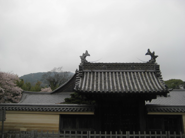d0147727_191822.jpg