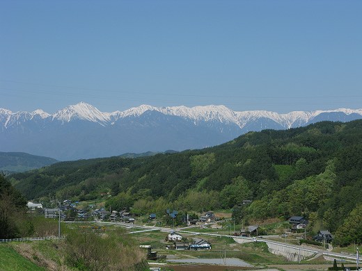 IMG_3150.jpg