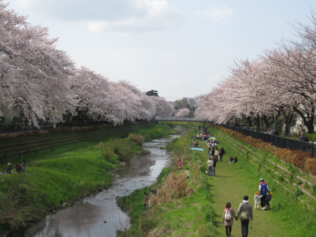 b0170128_954122.jpg