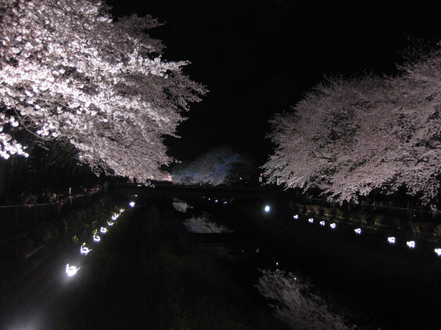 b0170128_9551855.jpg