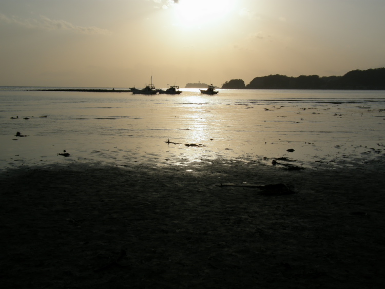 a0126632_2050577.jpg