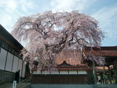 c0165033_8184117.jpg