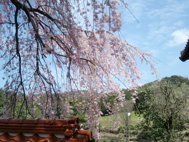c0165033_824429.jpg