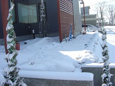 f0205733_17252999.jpg