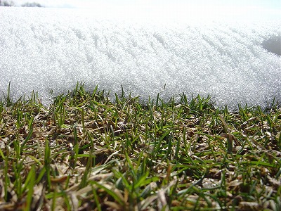 f0205733_1734949.jpg