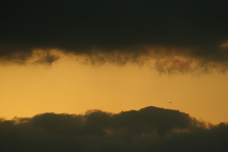 a0097735_1810053.jpg