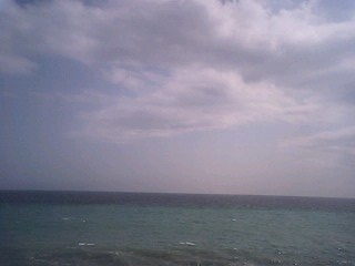 a0083538_2151890.jpg