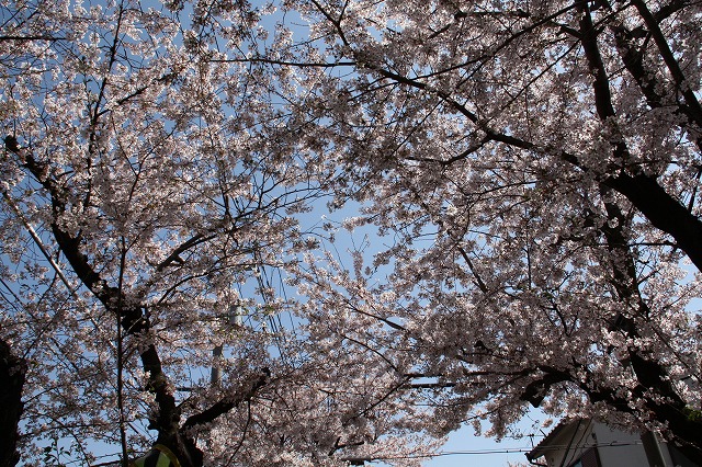 c0153740_20571418.jpg