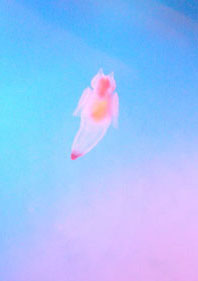 a0134245_10365832.jpg