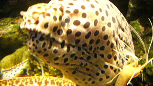 a0134245_1038145.jpg