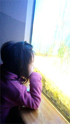 a0134245_10385935.jpg