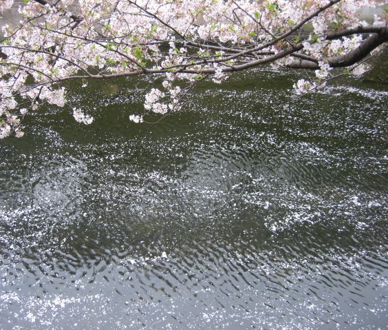 e0082045_19422961.jpg