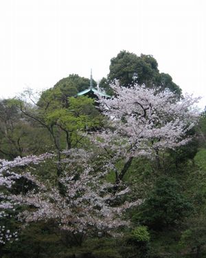 e0082045_20343776.jpg