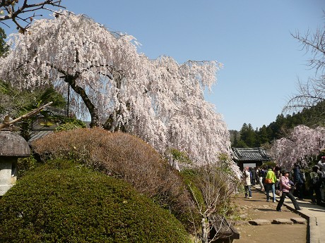 c0057946_18472133.jpg